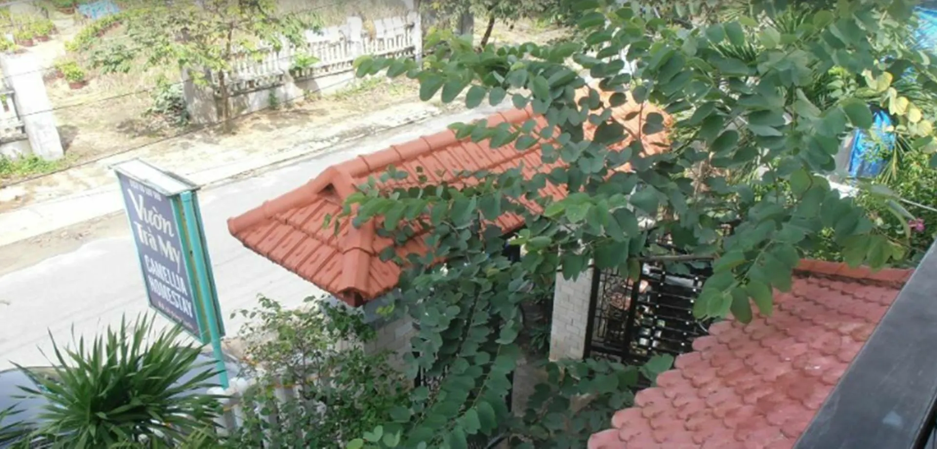 Camellia Homestay Hoi An