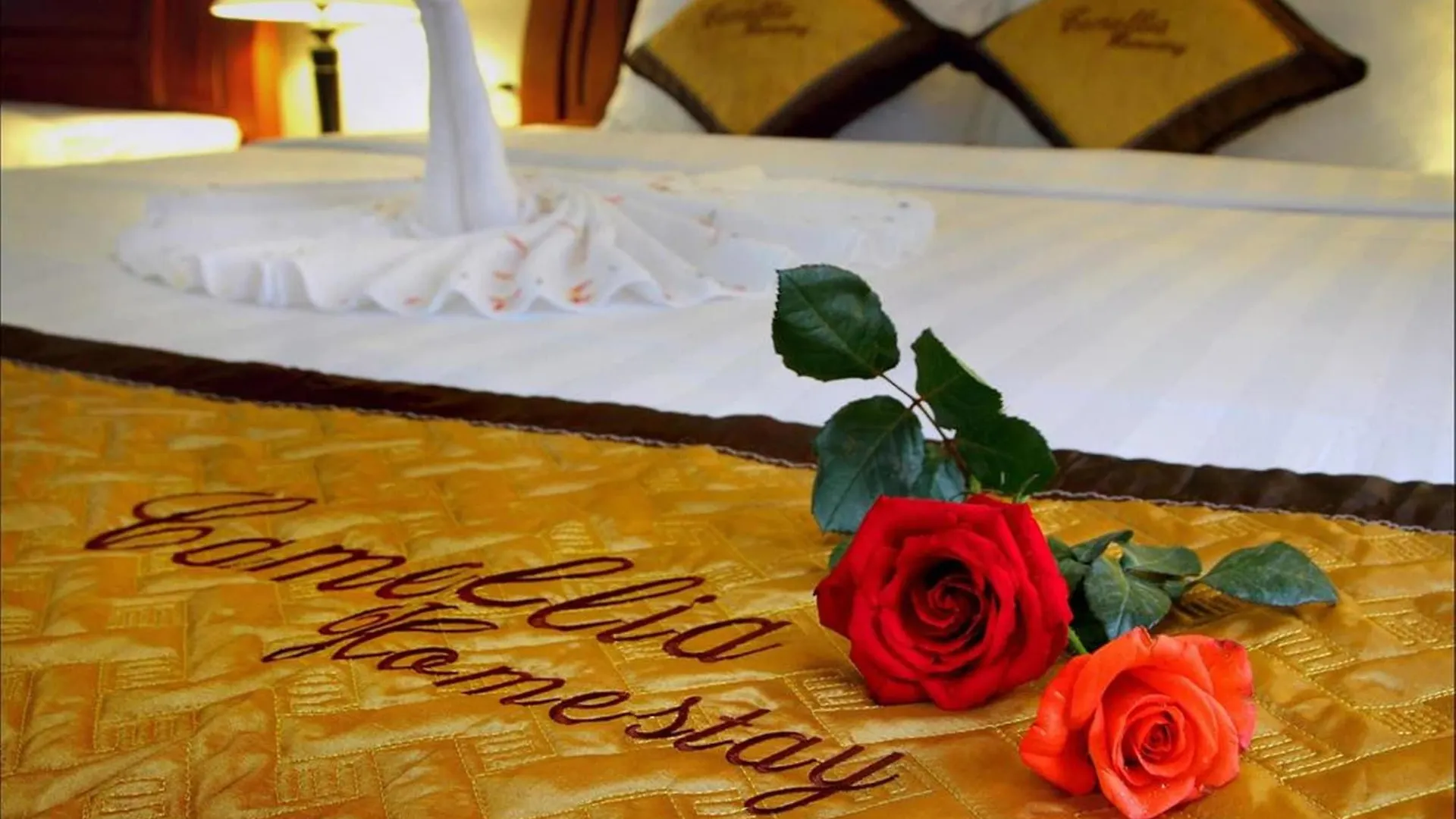 Camellia Homestay Hoi An