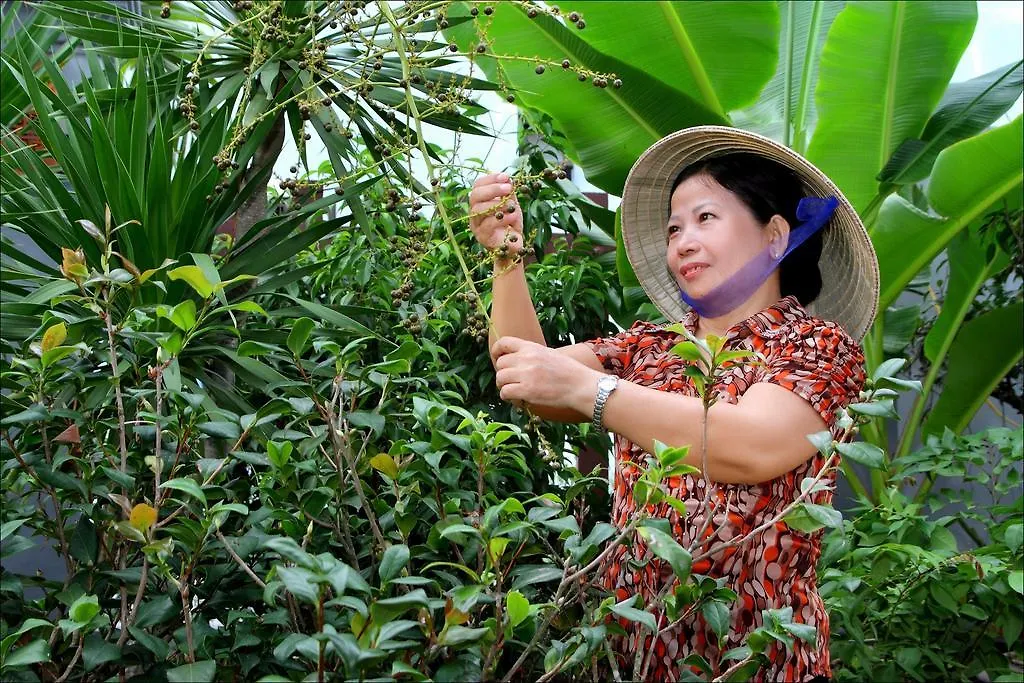 Camellia Homestay Hoi An
