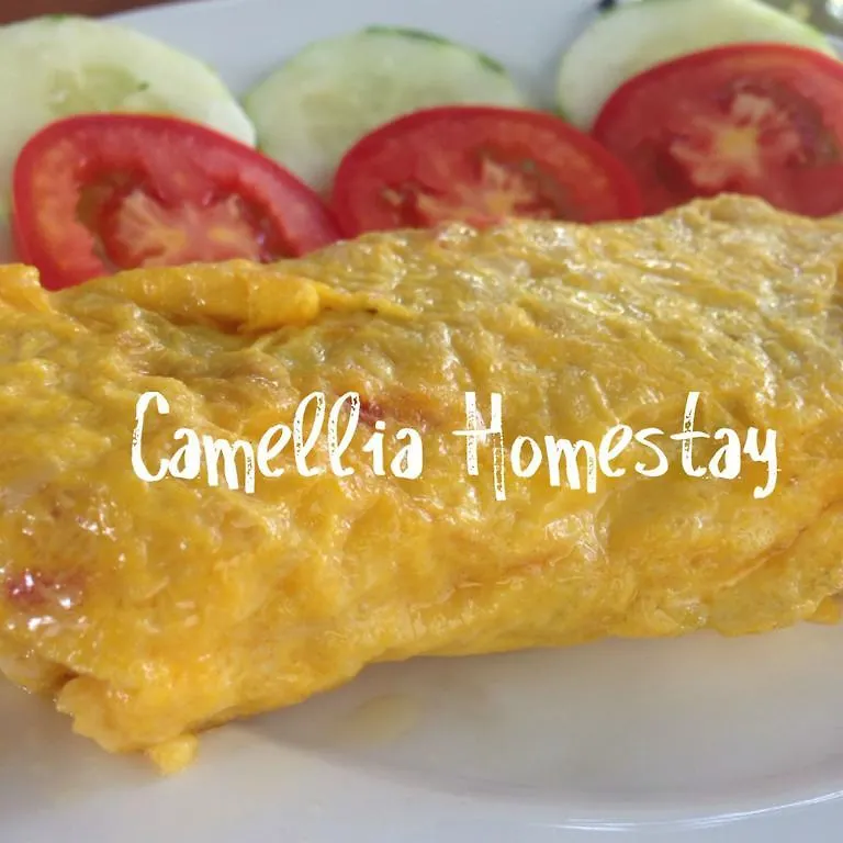 Camellia Homestay Hoi An
