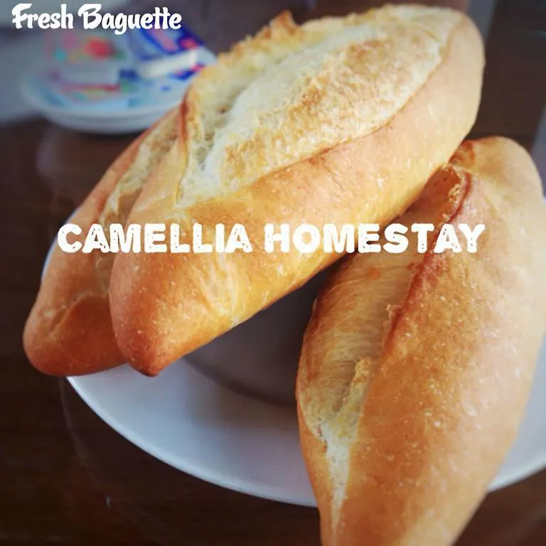 Camellia Homestay Hoi An 0*,  Vietnam