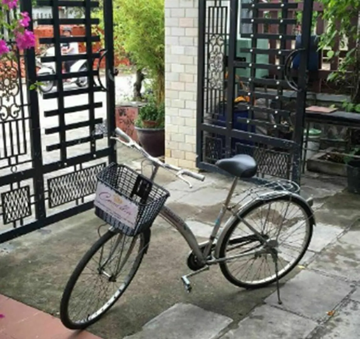 Camellia Homestay Hoi An Vietnam
